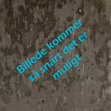 Kirsten Buus Szakacs Kirsten Buus Szakacs